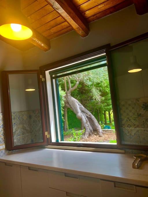 Casa Magnolia Daire Augusta Dış mekan fotoğraf
